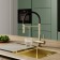 IDDIS ACE kitchen mixer, with filter and flexible pour, color matte gold