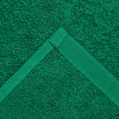 Terry towel with a border 70x140 cm, Green Paraset, cotton 100%, 440g/m-3