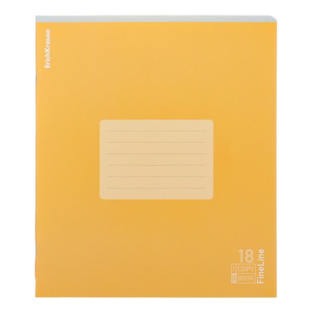 Notebook 18 sheets, ruler, erichkrause, fineline, matte lamination, block 80 g/m2 mix-4