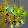 LED Lilia Yellow Lilies 30 cm, 32 LED, blinking, 220 V, glow of multi (RG/RB)