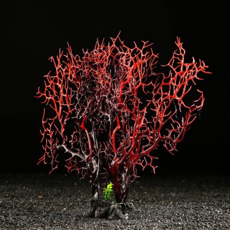 Decor for the Aquarium "Coral Plant", 34 x 10 x 28 cm-1