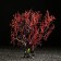 Decor for the Aquarium "Coral Plant", 34 x 10 x 28 cm