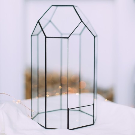 Florarium "greenhouse" (black seams)-1