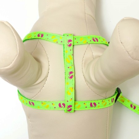 Set "Color Transes", leash 120 x 1 cm, fire 23-35 cm, green-4
