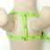 Set "Color Transes", leash 120 x 1 cm, fire 23-35 cm, green