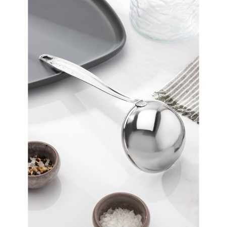Rodnik Polovnik, 100 ml, handle length = 21 cm, silver color-1