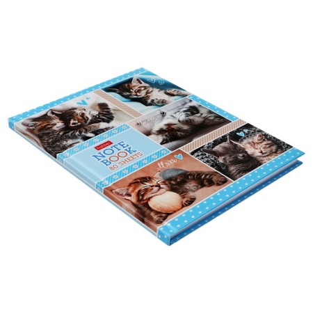 Business block A5, 80 sheets, in the cage "Fluffy Muzzles", solid cover, 5-color block, block 65g/m2-1