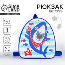 Baby backpack for the boy 
