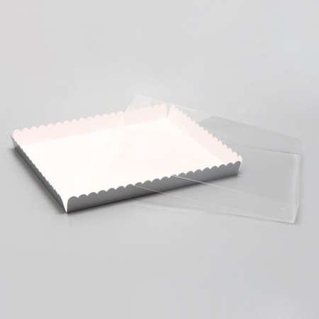 Box for cookies, silver, 23.5 x 30 x 3 cm-3