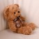 Soft toy "Bear" with a checkered bow, 30 cm, brown color