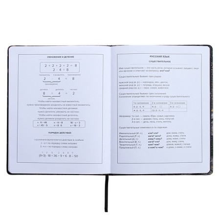 Universal Diary Grade 1-11, 48 sheets "Break the Rules", a solid cover of artificial leather, lies, an offset unit-13