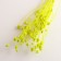 A set of dried flowers "Eringium", ban 5 pcs, length 55 (+/- 6 cm), bright yellow