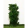 Decorative fence, 120 × 70 cm, “maple leaf”, Greengo