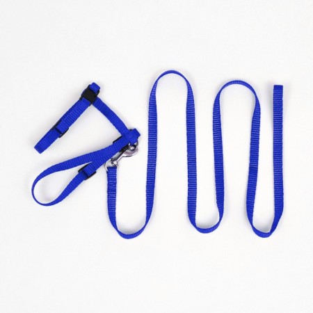 Kit for cats, width 1 cm, Osh 16.5-27 cm, fire 21-35 cm, leash 120 cm, blue-6