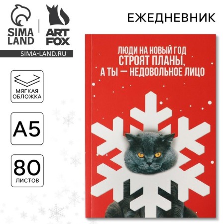 New Year. Diary in the thin cover A5, 80 liters "Dissatisfied face"