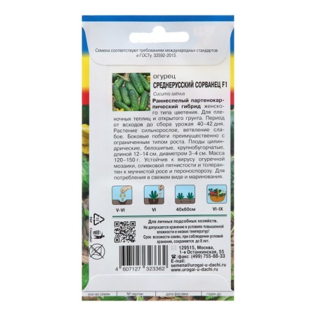 Cucumber seeds "Central Russian Blood", F1-1