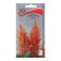 Flower seeds amaranth panichens, 0.05gr
