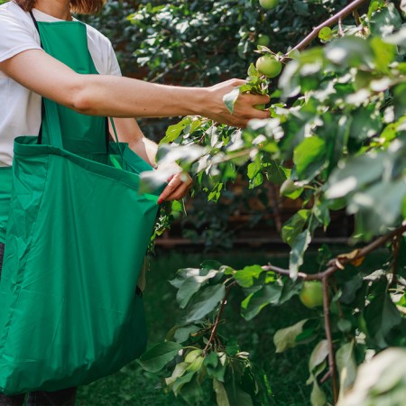 Apron for harvesting, one pocket, green, Greengo-8