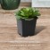 A pot for seedlings, 500 ml, d = 9 cm, h = 9.5 cm, black