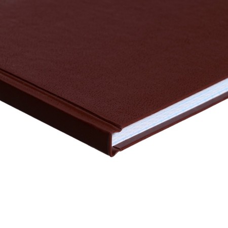 Book of accounting, 96 sheets, boumvinyl cover, offset block, cage, brown color-2