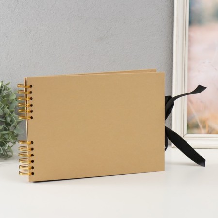 Photo album on rings 30 sheets cardboard "simplicity" with a tape 3.2x30x21 cm