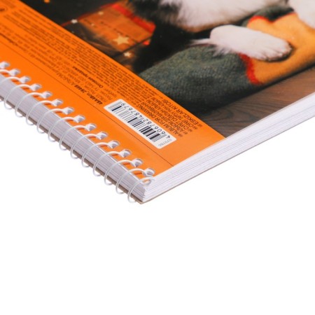 Album for drawing, A4 48 sheets on the crest "Dogmania", a perforation for separation, mix-4