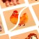 Clushed pictures "Pets"