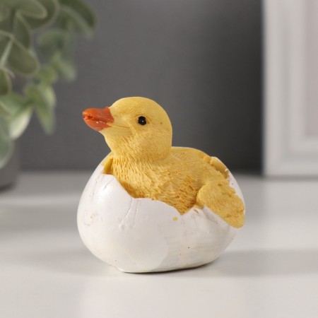 Souvenir Polystone "Yellow duckling in the shell" MIX 5x6x7 cm