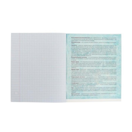 Subject subject calligrata "board", 48 sheets in the cage of social studies, with reference material, cover coated cardboard, block offset-3