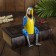 Souvenir "parrot" hanging paws, wood 4,5x9x24 cm
