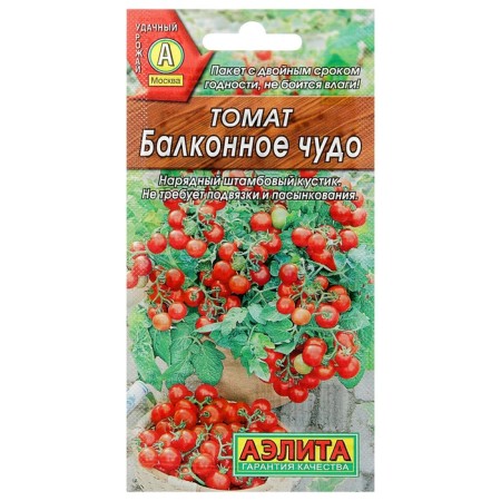 Seed Tomat "Balcony Miracle", 20 pcs