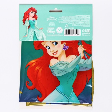 Air balloon "Ariel", 17 inch, foil, princesses-4