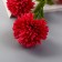 Artificial flowers "chrysanthemum pompom" d-6 cm 80 cm, raspberry