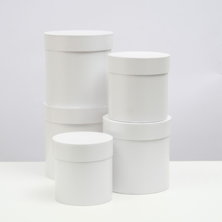 A set of hats 5 in 1 "White", 20 × 20 × 20 - 13.5 × 13.5 × 13.5 cm