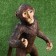 Garden figure "Monkey under the lamp" 53x23x30cm
