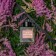 Aromadiffus with Stenova Home sticks No. 52, 50 ml