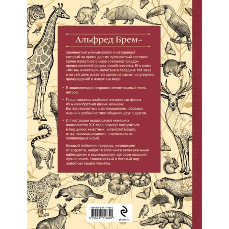 Life of animals. Big illustrated encyclopedia. Brem A.-1