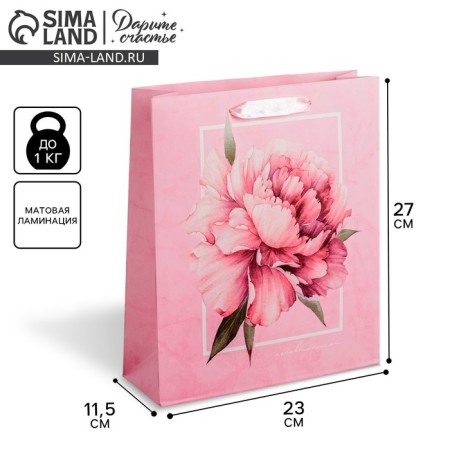 Gift Laminated Vertical Gift, Packaging, Pion, Ml 23 x 27 x 11.5 cm