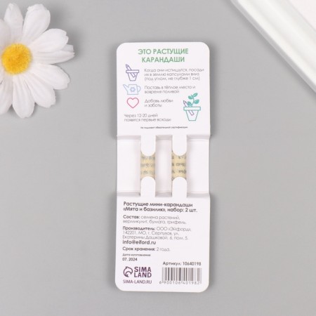 Growing gift pencils Mini "Basil + Mint" set 2 pcs.-1