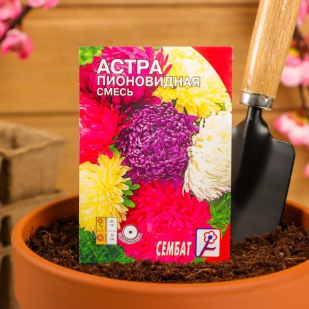 Seeds of flowers Astra Pionovid, mixture, 0.2 g-2