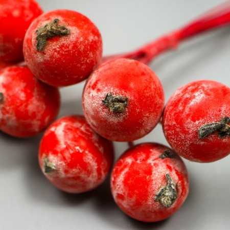 Decor for creativity "Berry of Rowan" 1 bouquet = 10 berries Red-Borded hoar 10x1.5 cm-3
