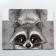 Gift folding box, packaging, “raccoon”, 25 x 25 x 10 cm