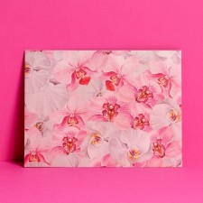 Gift envelope 