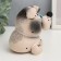 Growing gift Eco -Zhizhivchik "puppy novelt" mix