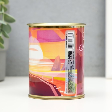 Pigger Bank Metal "pleasant moments"-2