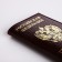Cover for passport, burgundy color