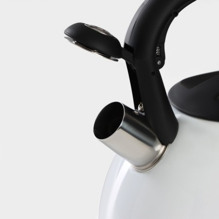 A kettle with a stainless steel whistle “Heart”, 3 l, with an indicator of heating-7