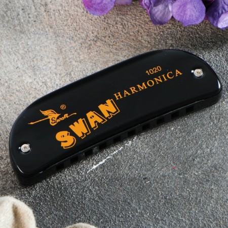 Glubby accordion Swan SW1020-16