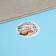 Stickers in the roll "Beast", 500 pcs, 3.8 x 3.8 cm