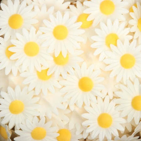 Waffle margaritas, white, 200 pcs